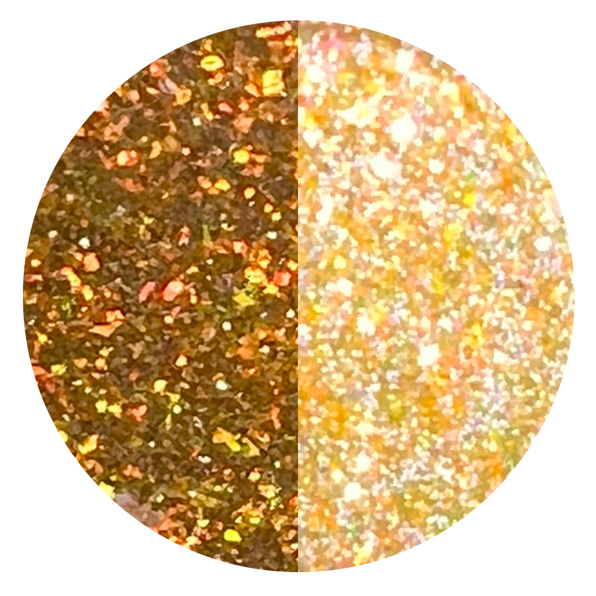 Special Edition - Harvest