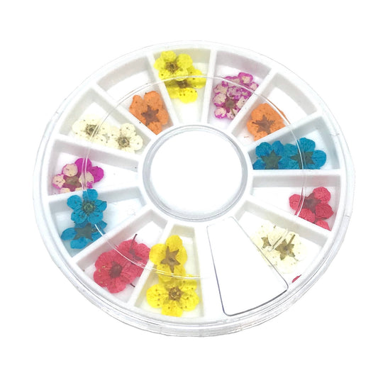 Embellishments - Dried Flowers