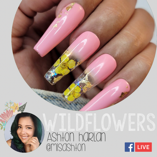 Facebook Live February 2 2023 with Ashton Harlan