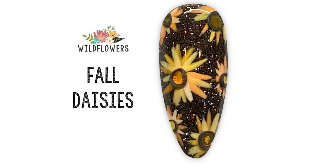Fall Daisies – Wildflowers