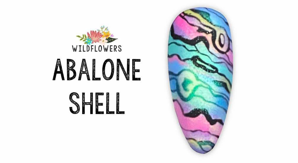 Abalone Shell