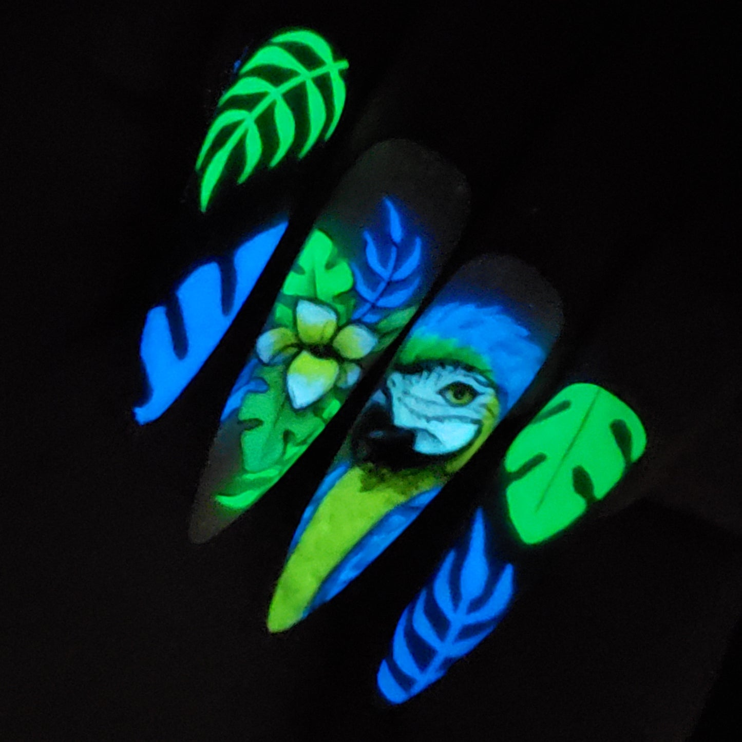 BACK IN STOCK! 🌟Glowy Glow Gels (Limited Edition Set!!)