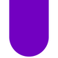 Gel Polish - Neon Purple