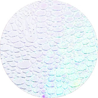 Tools - Iridescent Crocodile Brush Case