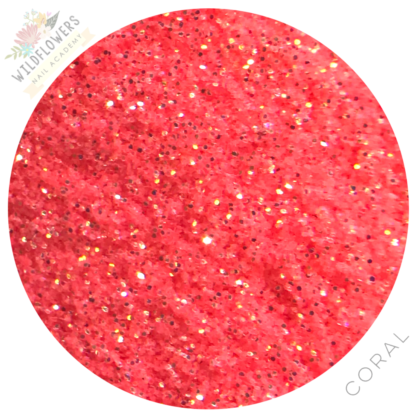 Glitter Set - Fantasy Micro