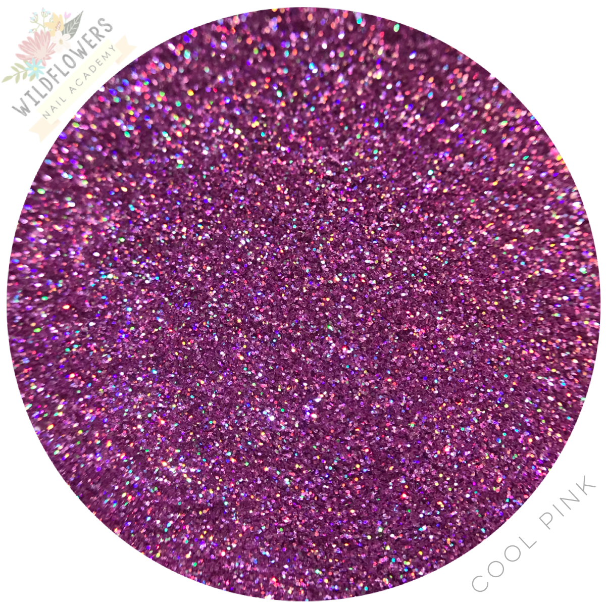 Glitter Set - Micro Holographic