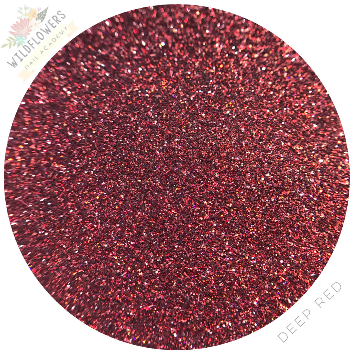 Glitter Set - Micro Holographic