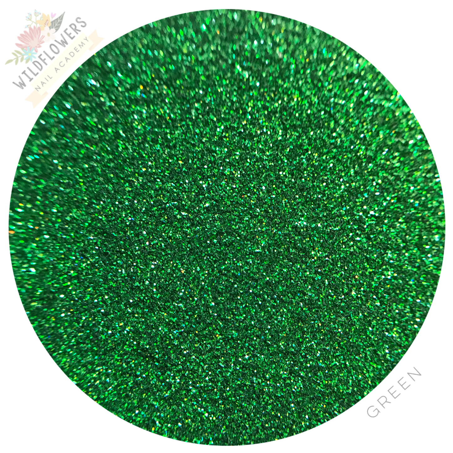 Glitter Set - Micro Holographic