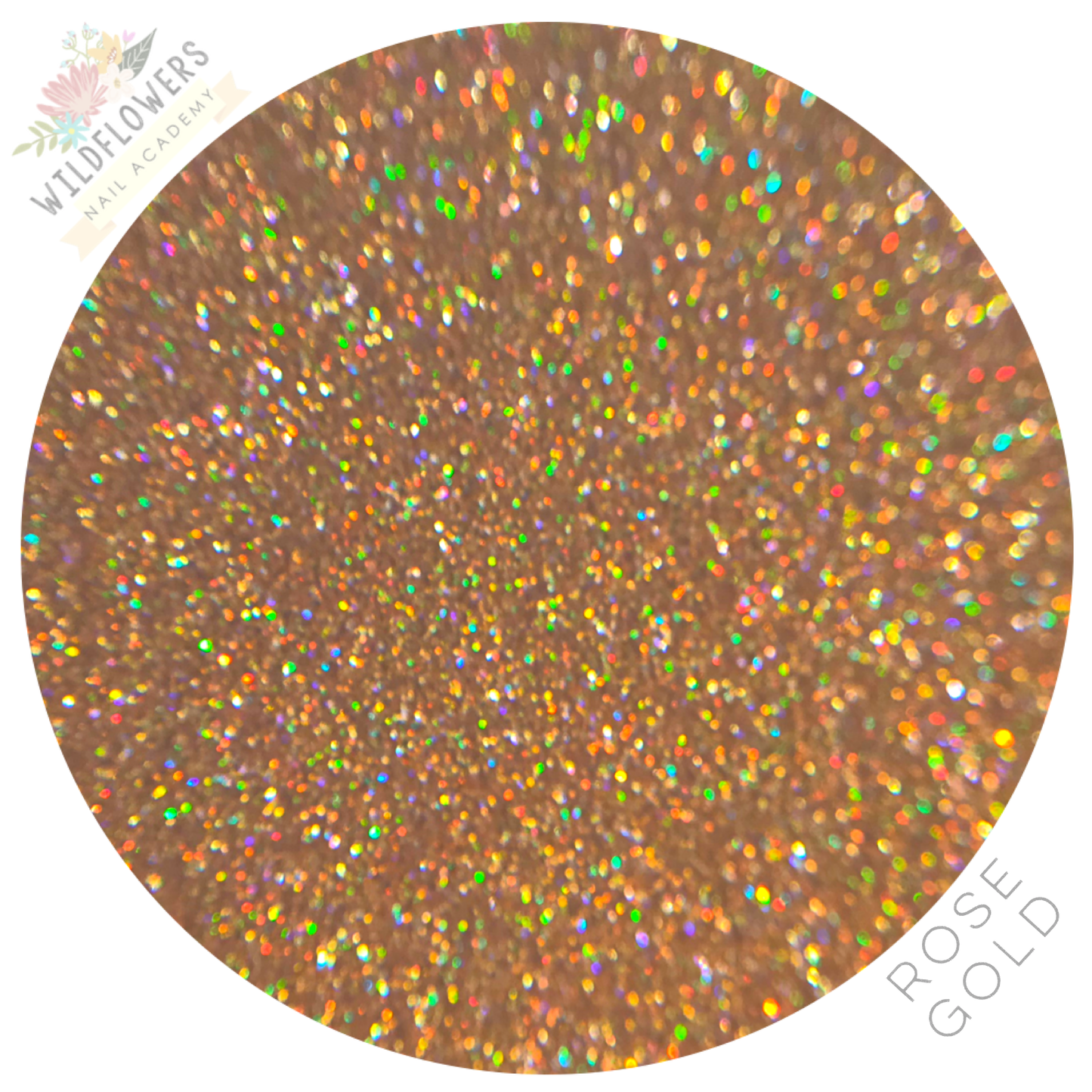 Glitter Set - Micro Holographic