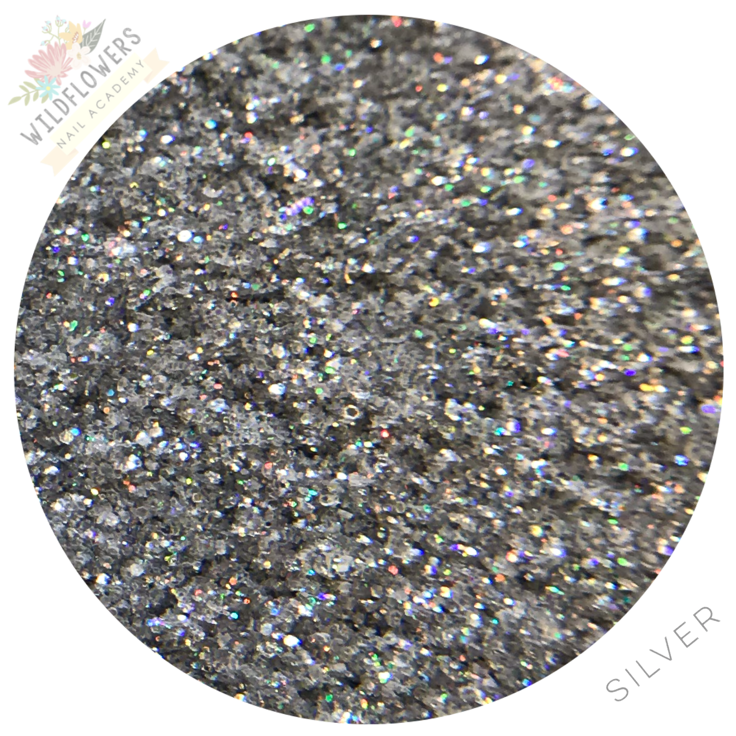 Glitter - Micro Holographic Sets