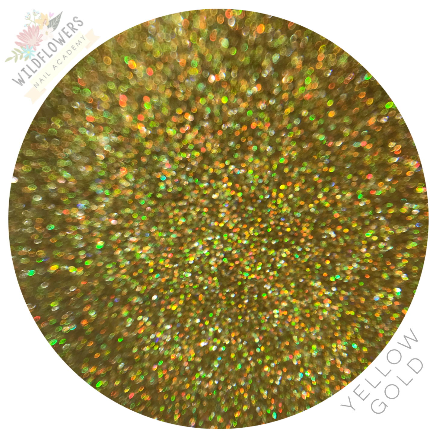 Glitter Set - Micro Holographic