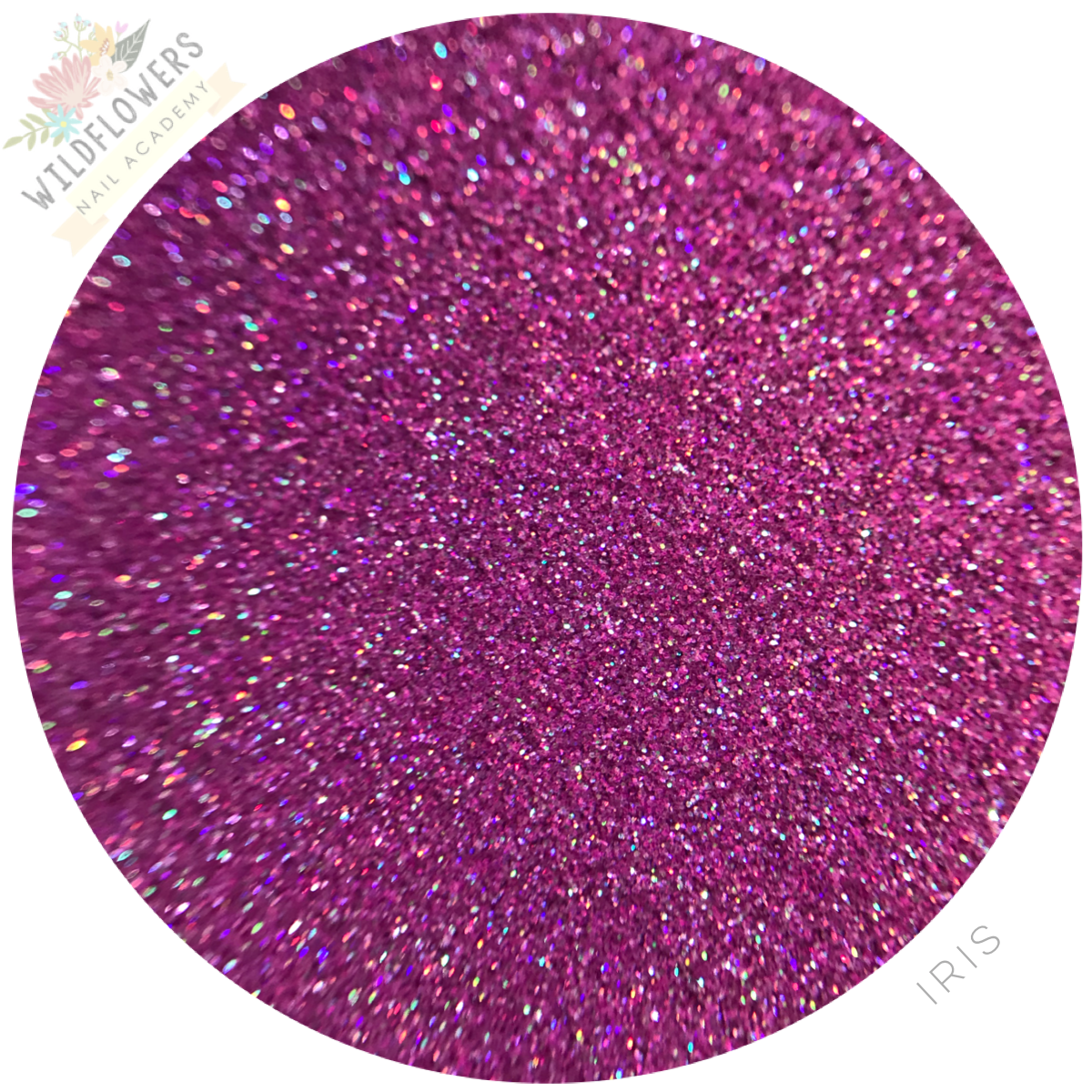 Glitter Set - Micro-Lite